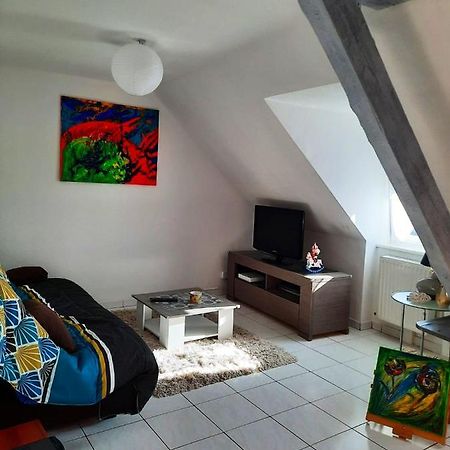 Appartement Spacieux A Ingersheim Avec Vue Sur Jardin 100 M² Buitenkant foto