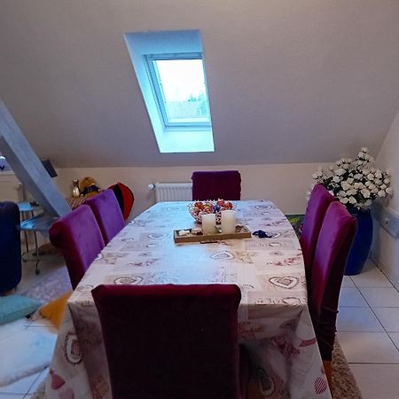 Appartement Spacieux A Ingersheim Avec Vue Sur Jardin 100 M² Buitenkant foto
