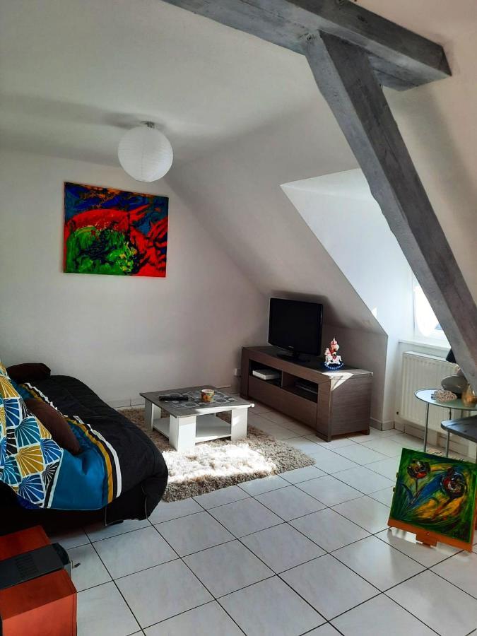 Appartement Spacieux A Ingersheim Avec Vue Sur Jardin 100 M² Buitenkant foto