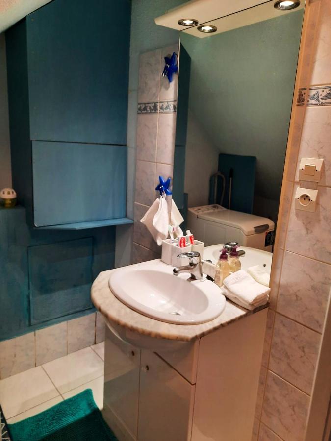 Appartement Spacieux A Ingersheim Avec Vue Sur Jardin 100 M² Buitenkant foto