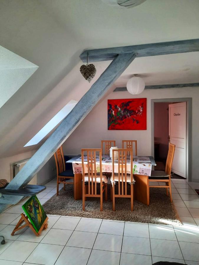 Appartement Spacieux A Ingersheim Avec Vue Sur Jardin 100 M² Buitenkant foto