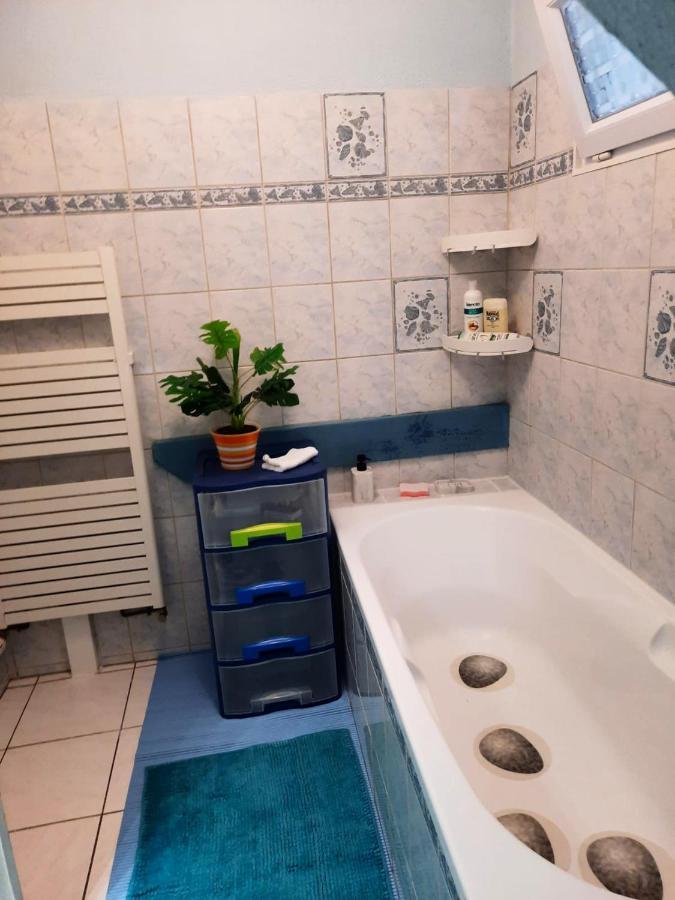 Appartement Spacieux A Ingersheim Avec Vue Sur Jardin 100 M² Buitenkant foto